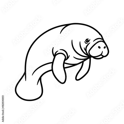 A simple line drawing of a manatee isolated on, perfect for coloring books or educational materials