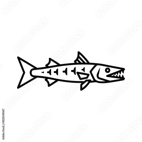 Barracuda line art isolated on simple black and white illustration of a predatory fish
