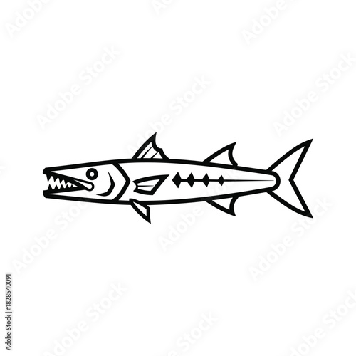 Barracuda line art isolated on, a predatory fish with sharp teeth and streamlined body, vector