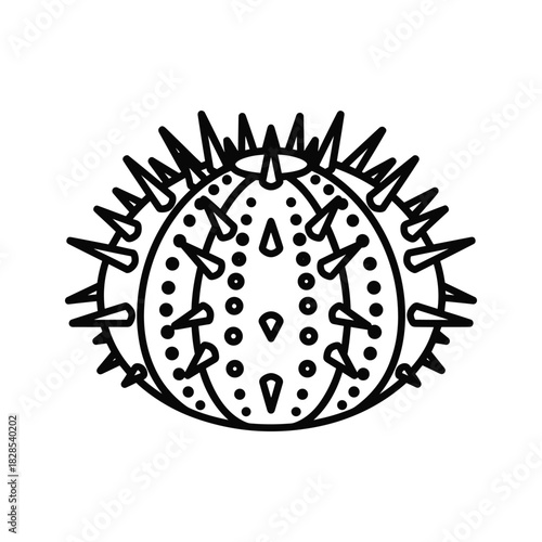 Sea urchin with spikes isolated on, a marine animal with a spiky shell and radial symmetry
