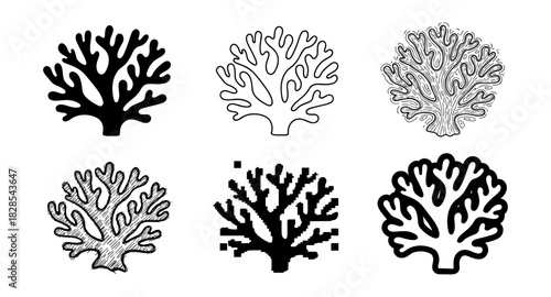 Collection of coral designs in various artistic styles