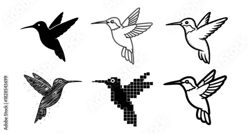 Diverse hummingbird designs: silhouette, sketch, pixel art, and line art styles