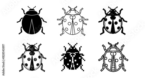 Variety of ladybug designs in different artistic styles
