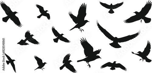 Dynamic collection of black flying bird silhouettes, showcasing various wing positions and angles, suitable for representing freedom, flocking, nature, flight, and graphic design elements