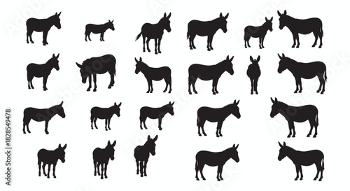 Silhouette Collection of Donkeys in Various Poses A Vector Illustration for Creative Projects and Designs