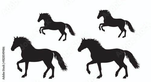 Set of four isolated black horse silhouettes in dynamic prancing and rearing poses. Vector graphic collection of elegant stallions for equestrian design elements on a white background.