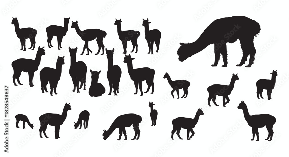 Fototapeta premium Explore a versatile conceptual collection of diverse South American animal silhouettes, featuring various forms of llamas and alpacas. This extensive set offers high-quality vector illustrations, idea