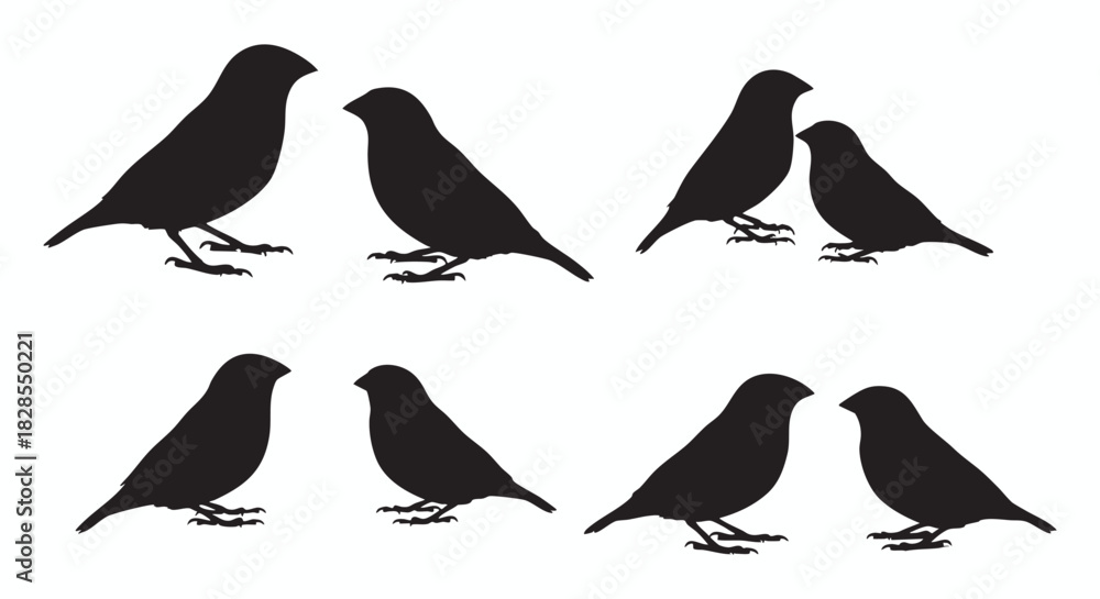 Fototapeta premium A comprehensive collection of black silhouettes featuring a diverse range of wild animals, people, and plants. Isolated vector graphic elements for design projects on a white background.