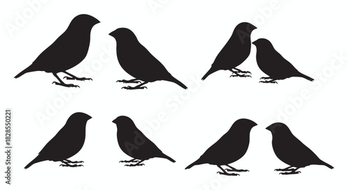 A comprehensive collection of black silhouettes featuring a diverse range of wild animals, people, and plants. Isolated vector graphic elements for design projects on a white background.