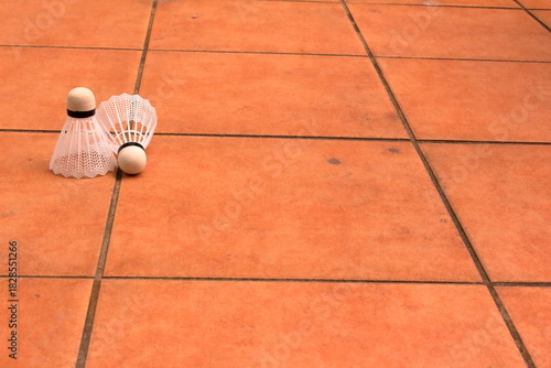 地面に置かれたバトミントンのシャトル