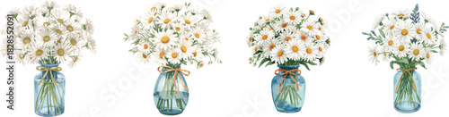 Watercolor illustration of bouquet of white daisies in blue transparent vase tied with bow. Hand drawn botanical composition, isolated set on white background