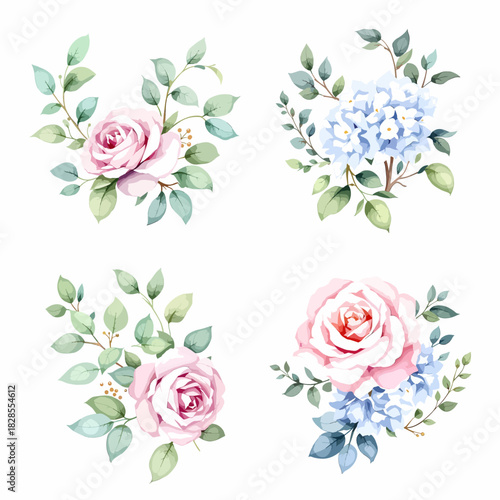 Wild flowers set, watercolor digital illustration.	