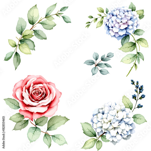 Wild flowers set, watercolor digital illustration.	