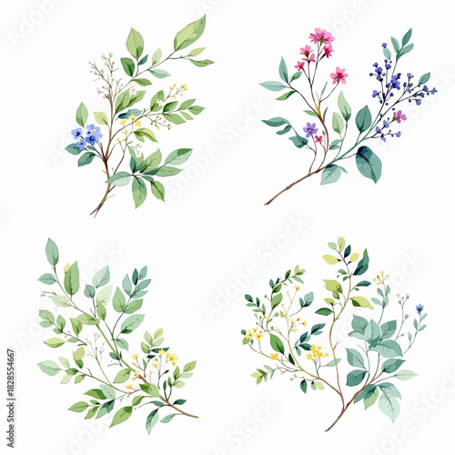 Floral elements set of flower vector design patterns with leaves and butterfly decoration for spring nature card illustration border