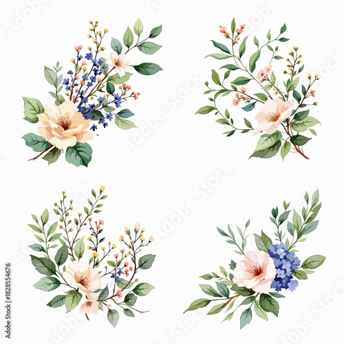 Set flowers, and branches for spring and summer nature illustration background design