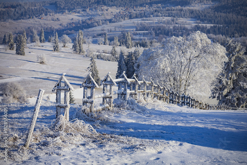фотографія Winter on the meadow under the Tatra Mountains. Poland