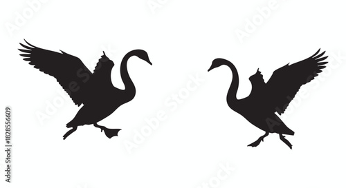 Elegant silhouette of two black swans with spread wings facing each other in graceful motion. A minimalist vector illustration of bird wildlife on a white background, symbolizing nature and harmony.