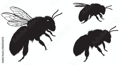 A collection of black bee silhouettes in various poses including flying and standing. Detailed bumblebee insect icons isolated on a white background, a vector illustration for nature design.