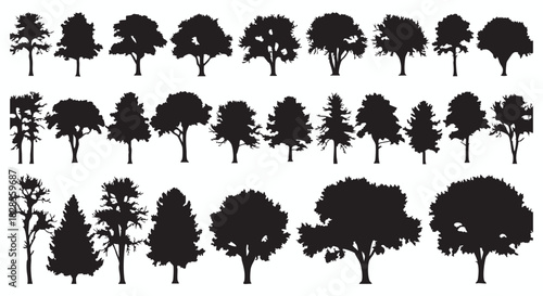 A diverse collection of black tree silhouettes isolated on a white background. This set includes various forest and woodland trees as graphic vector icons for nature-themed design.