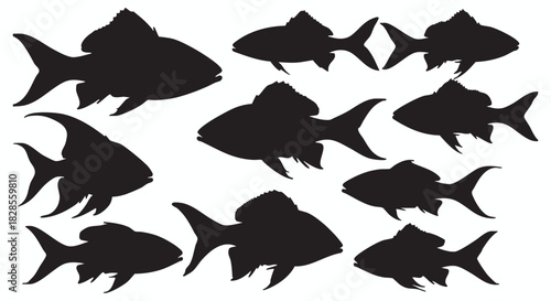Collection of diverse fish silhouettes in various sizes and shapes, creating an intricate graphic pattern of aquatic life, perfect for design elements, marine biology themes, and wildlife illustration
