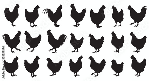 Farm Animal Silhouettes Vector Graphics for Chicken, Rooster & Poultry Designs -  Simple Poultry Vector Graphic Set