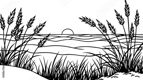 Very beautiful sunrise scene on Hilton Head Island featuring gentle sand dunes and silhouetted sea oat grass against a glowing horizon, captured in a clean, serene, non-specific natural setting suitab