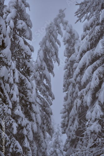 Randonnée hivernale dans les Alpes Française