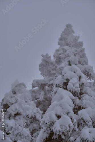 Randonnée hivernale dans les Alpes Française