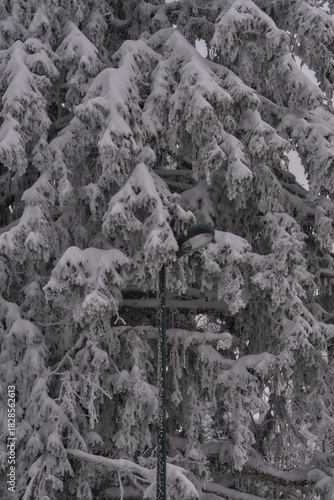 Randonnée hivernale dans les Alpes Française