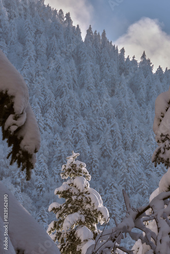 Randonnée hivernale dans les Alpes Française