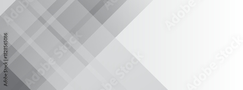 Abstract white and gray triangle vector background. texture white pattern