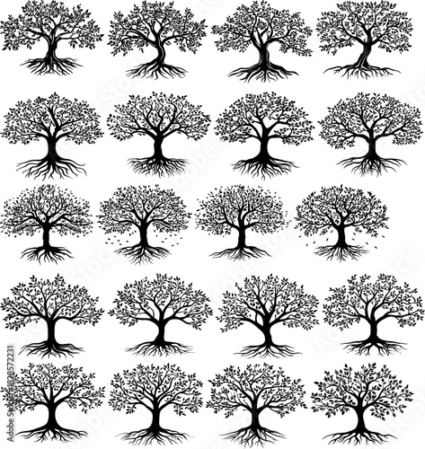 Decorative Tree of Life Bundle, Ornamental Family Trees with Roots and Leaves for Spiritual Art