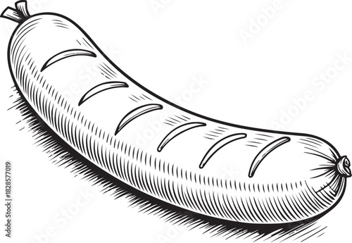 Italian sausage Hand-drawn Sketch Drawing Vector Illustration, Line Linear Symbol Engraving Coloring Book, Black and White Isolated