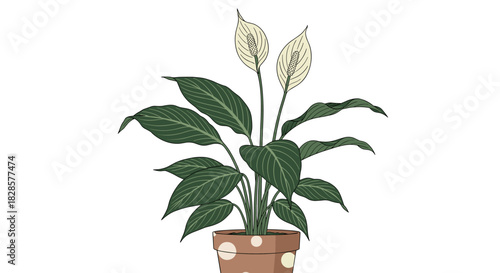 An elegant illustration of a vibrant peace lily plant featuring two graceful white flowers and dark green foliage in a decorative pot.