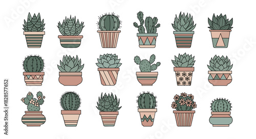 A vibrant collection of diverse potted succulents and cacti, rendered in a charming flat design style with earthy tones and patterned planters.