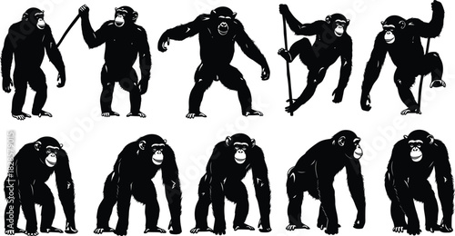 Dynamic Chimpanzee Primate Vector Silhouette Collection Set Illustrating Various Poses, Including Standing, Walking, and Using Tools, Ideal for Wildlife, Science, and African Animal Concepts