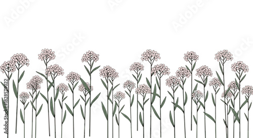 Hand-drawn row of small, delicate pink flowers with green stems and leaves, forming a charming botanical border on a clean white background.