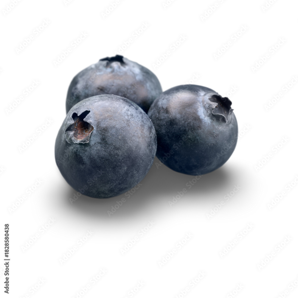 Obraz premium Three Ripe Blueberries on a White Background.