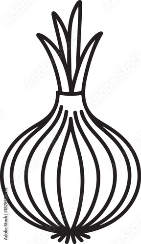 Onion Line Art Illustration, Coloring Book Page Line Art Drawing