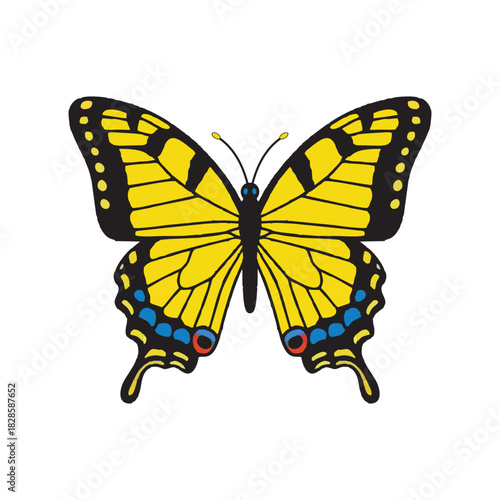 A pack of colorful cartoon butterfly with symmetrical wings and simple decorative patterns. Flat vector collection for kids’ projects, stickers, apps, education. (AI Generated content)