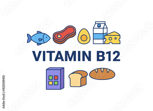 A Vitamin B12 card framed by wholesome foods, featuring natural dairy, milk, and fish enriched with B12 (cobalamin), organic nutrition, and a vibrant flat vector illustration of nutrients