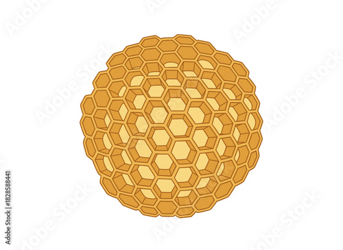 A hand‑drawn, colorful vector illustration of honeycomb—hexagonal prismatic wax cells built by bees for honey storage—isolated against a white background, presented as an elegant antique decorative