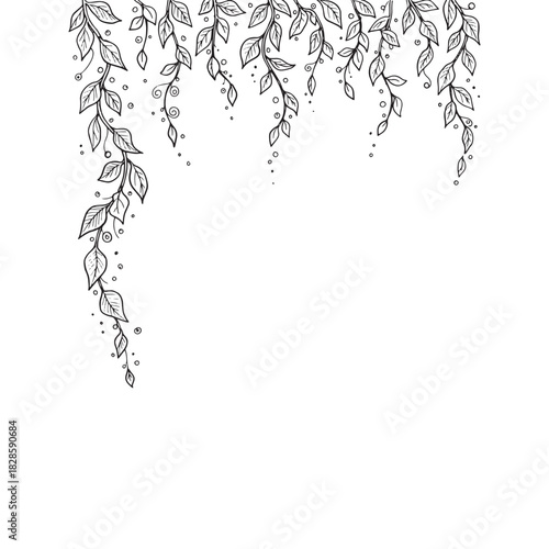 Hand-drawn hanging vines sketch. Botanical line art of trailing ivy plants for a decorative top border or frame.