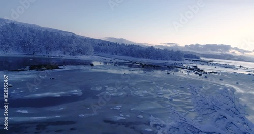 Wallpaper Mural Cinematic aerial drone footage of a frozen Arctic lagoon on Senja at blue hour, with snow-covered trees, floating ice and pastel winter sky creating a calm, dreamy Nordic landscape Torontodigital.ca