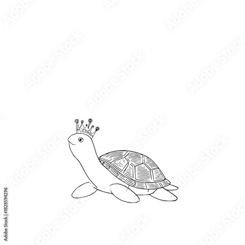 Turtle queen crown cute reptile shell drawing animal pet illustration design tortoise art cartoon sketch