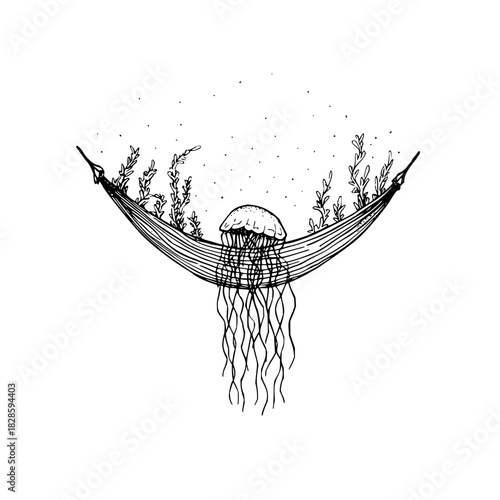 Hammock jellyfish ocean sea marine life aquatic underwater nature illustration art drawing black and white