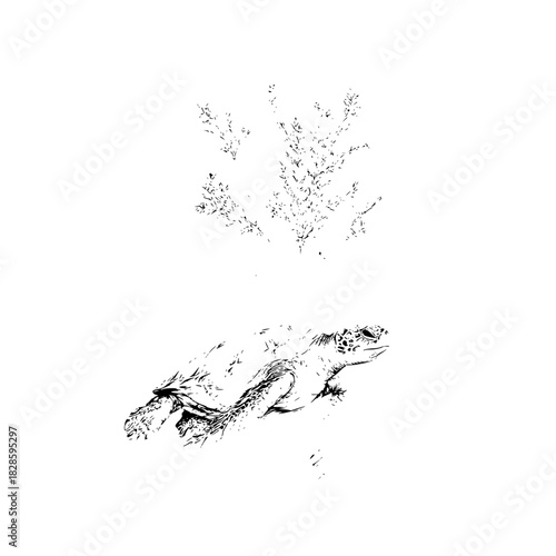 Sea turtle swimming underwater with seaweed illustration ocean life marine animal aquatic wildlife conservation art