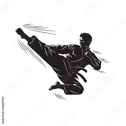 Dynamic Martial Arts Kick Silhouette with Speed Lines on White Background