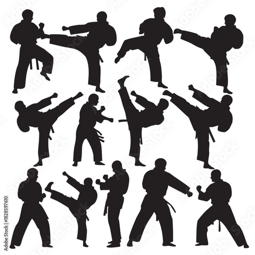 Seamless Pattern of Karate Silhouettes Practicing Martial Arts Kicks and Punches