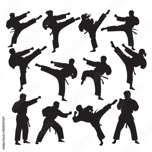 Seamless pattern of karate martial arts athletes in various stances background